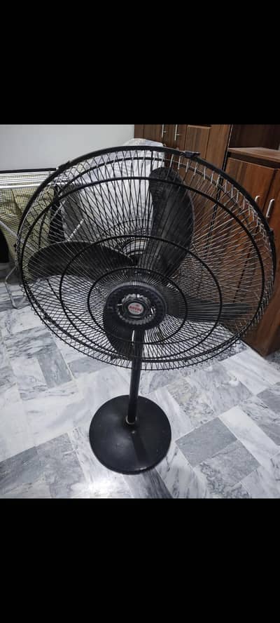 Royal Pedestal Fan Urgent Sale