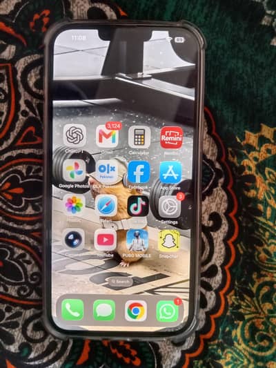 Apple iPhone 13 Pro Max