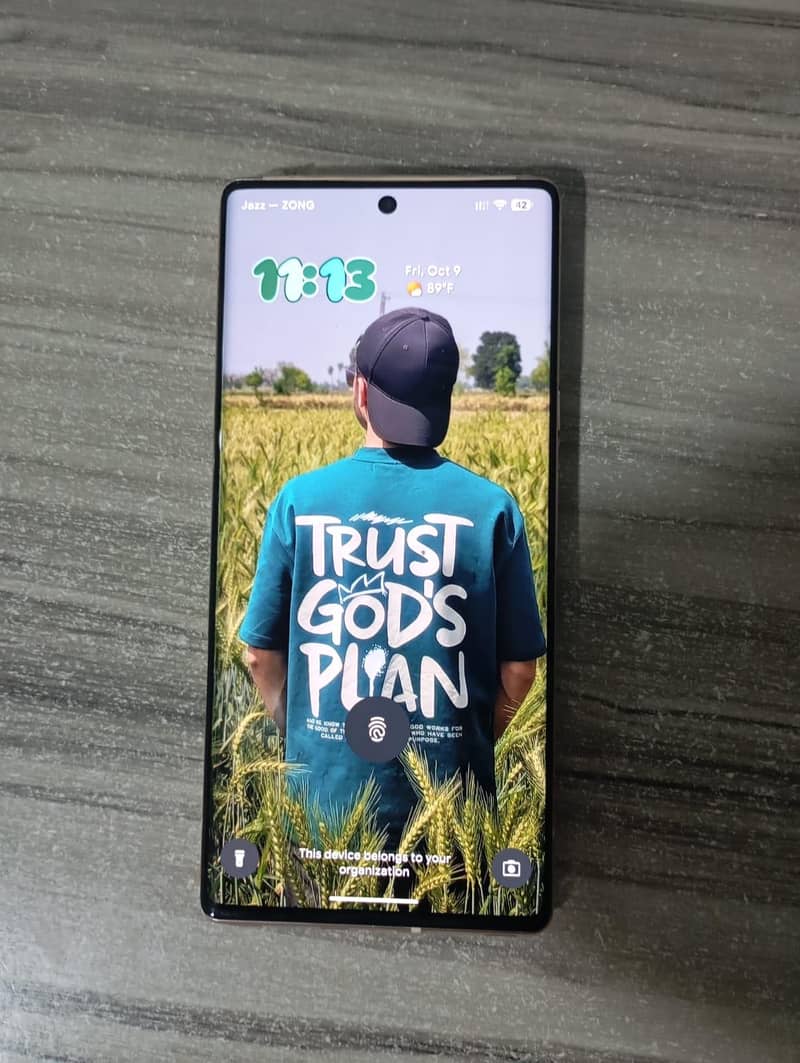 Google Pixel 6 Pro 2