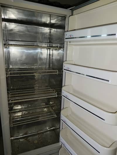 Freezer/Fridge