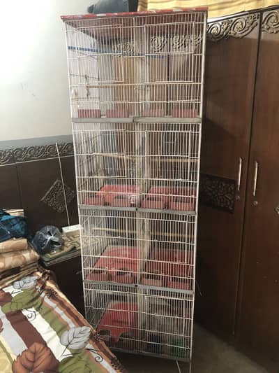 Birds cage 8