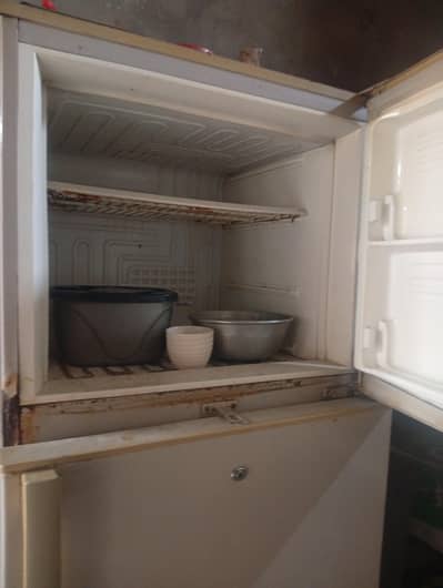 fridge Full sized