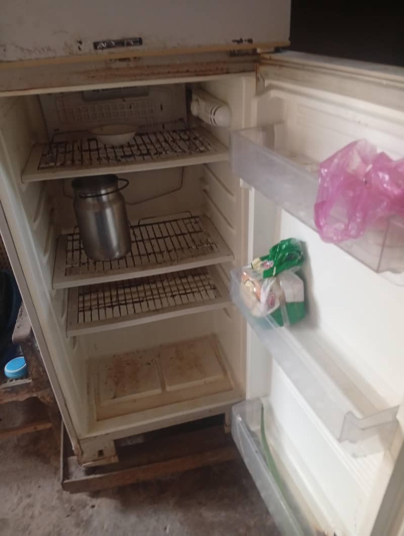fridge Full sized 1