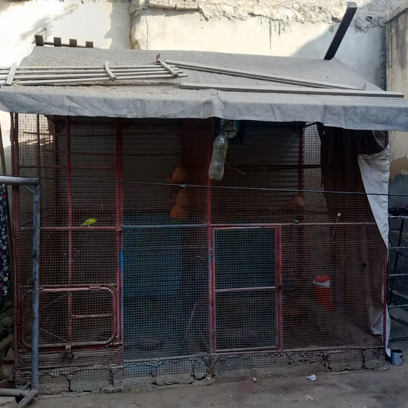 Bird Cage for Sale — photo 2
