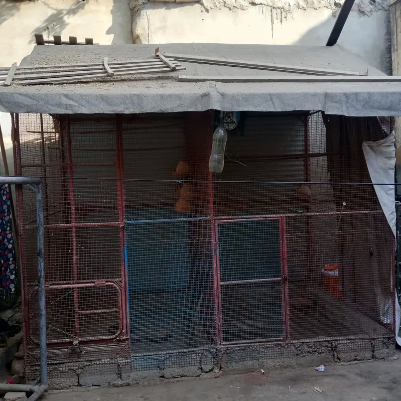 Bird Cage for Sale — photo 3