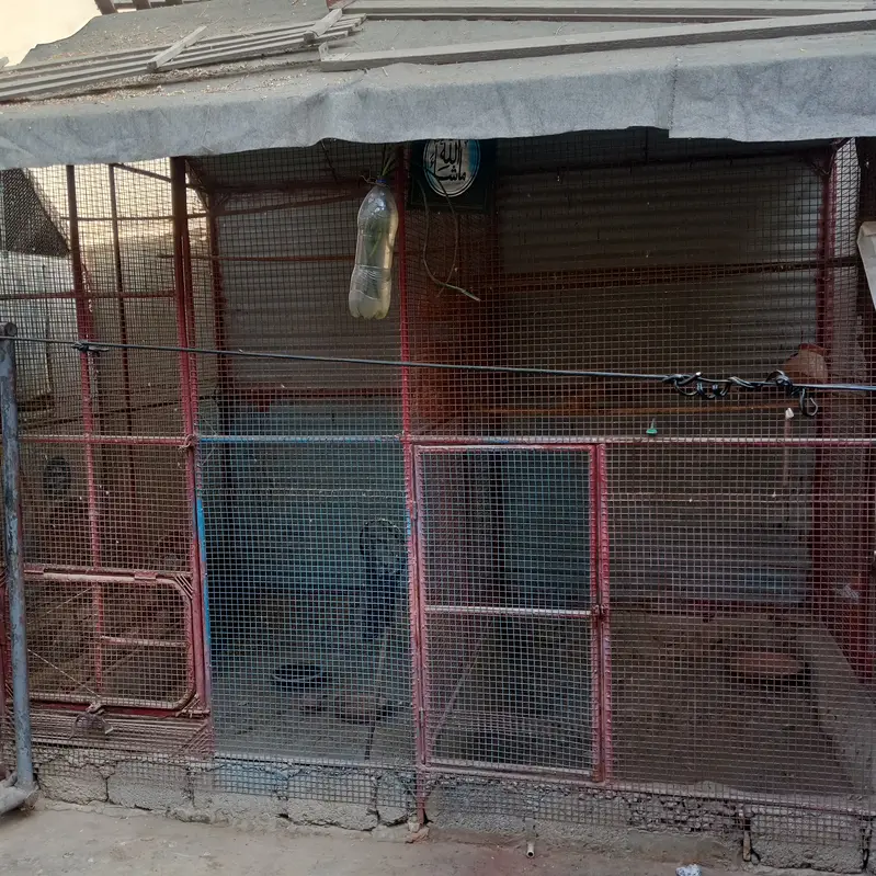 Bird Cage for Sale — photo 7