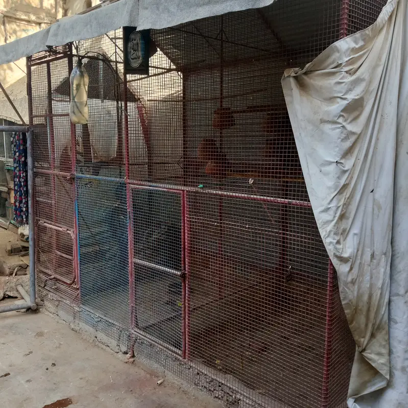 Bird Cage for Sale — photo 9