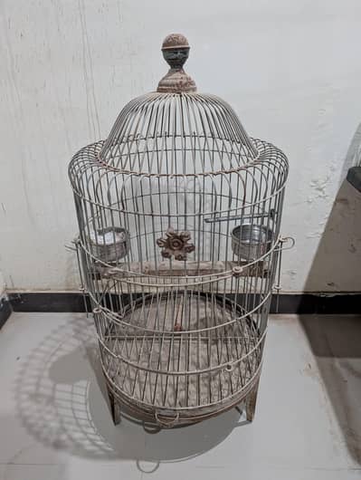 Parrot Cage