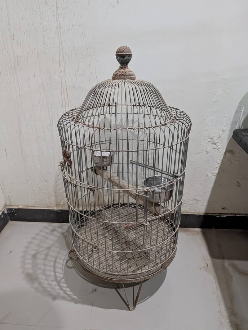 Parrot Cage 1