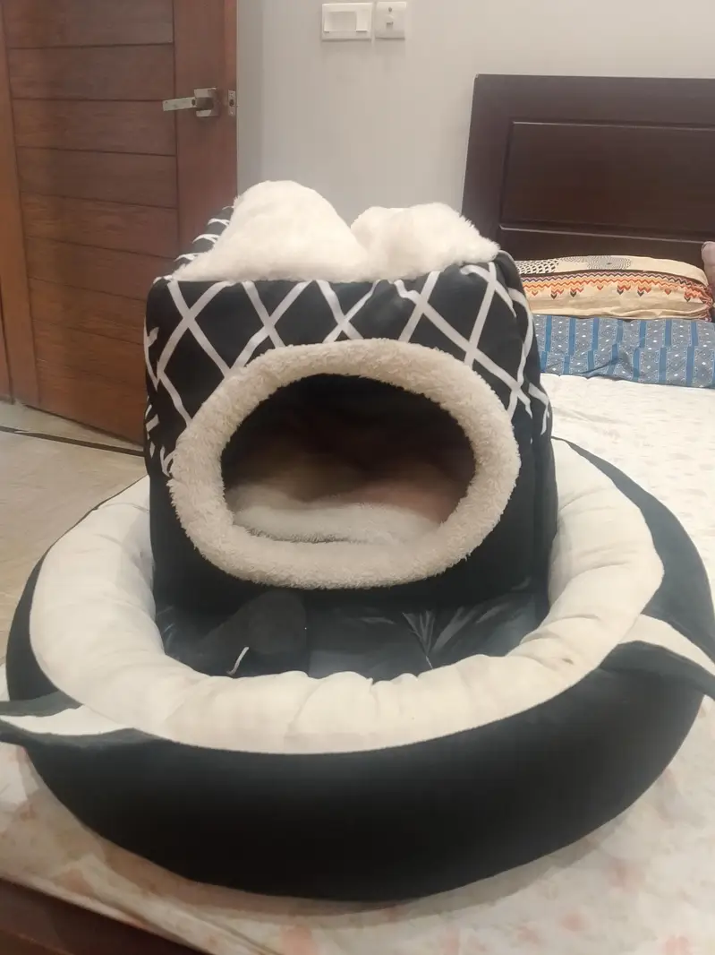 cat bed and shampoo — photo 2