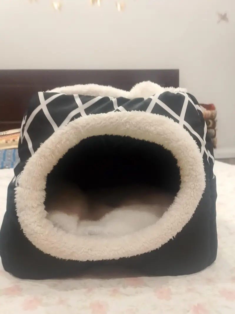 cat bed and shampoo — photo 3