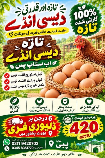 Fresh desi eggs