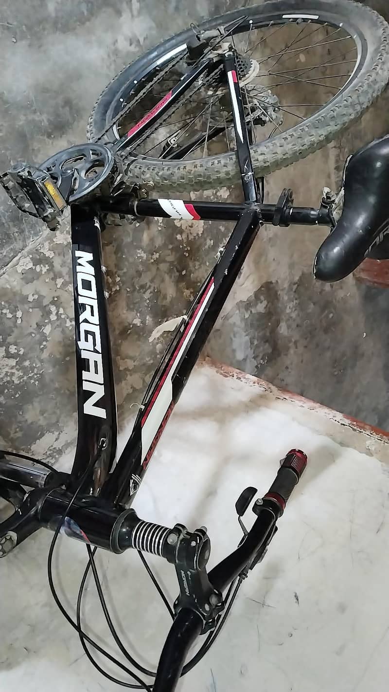 Morgan Mountain Cycle 1