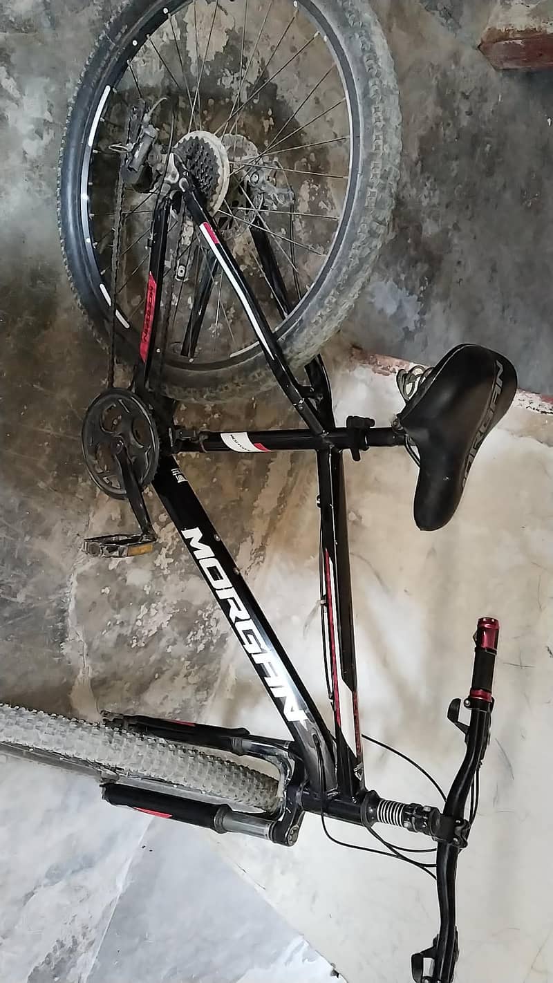 Morgan Mountain Cycle 2