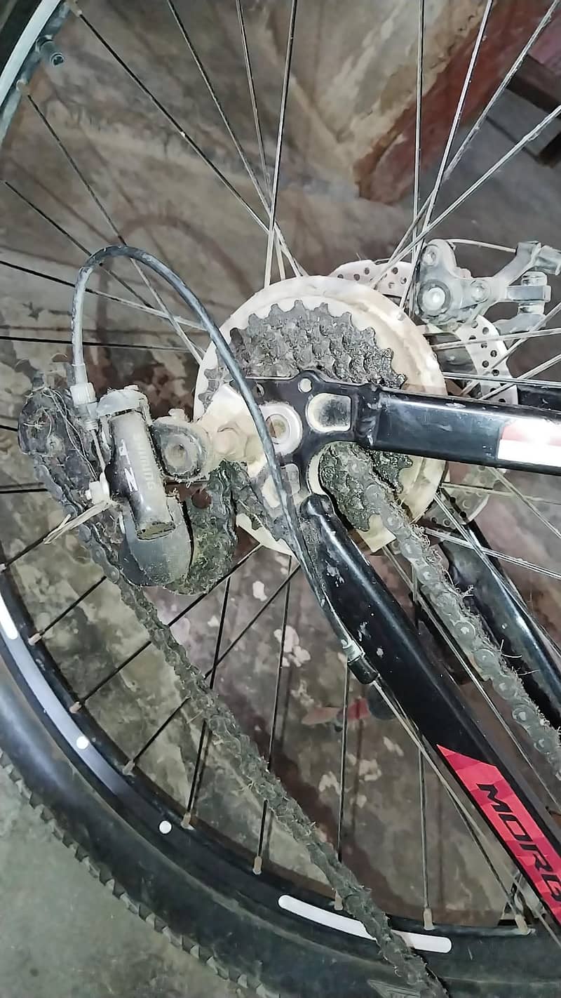 Morgan Mountain Cycle 4