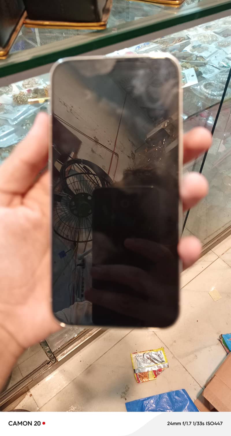 Apple iPhone 13 Pro Max 1