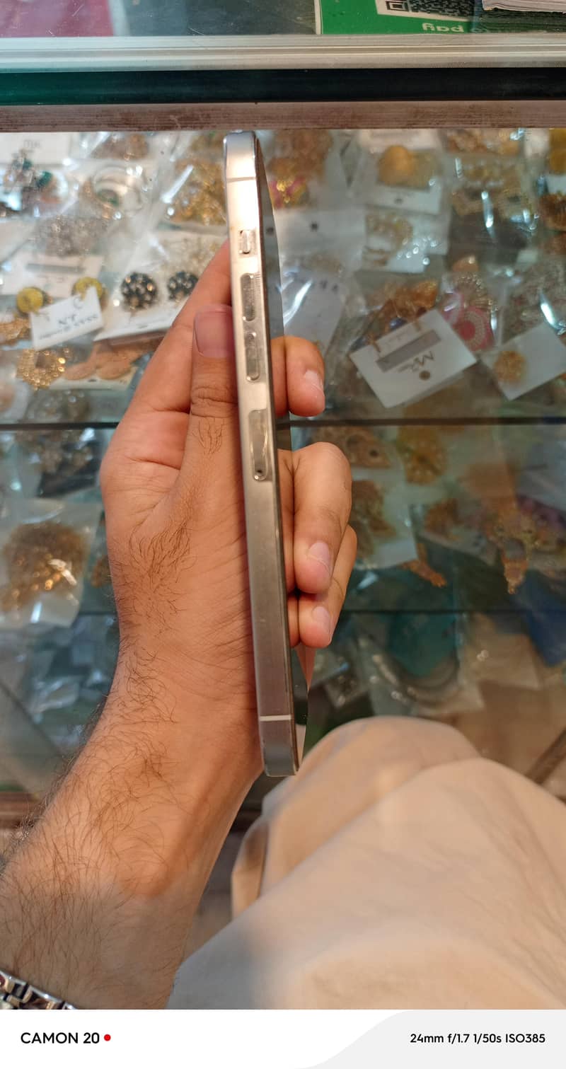 Apple iPhone 13 Pro Max 2