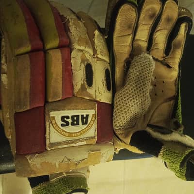Abs cricket gloves