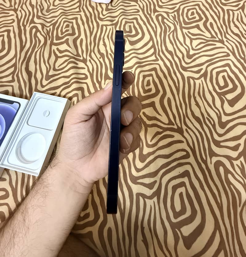 Apple iPhone 12 1