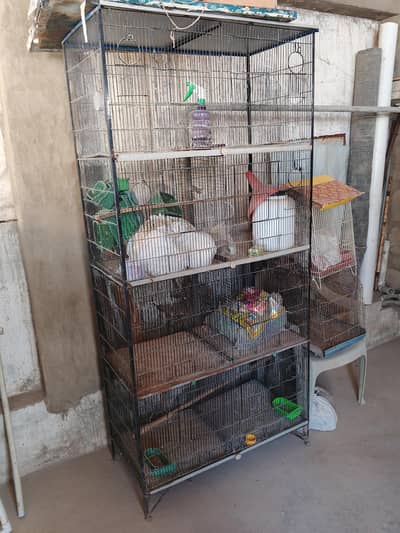 cage and seed cleaning machine
