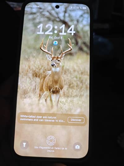 Tecno Spark 40 Pro