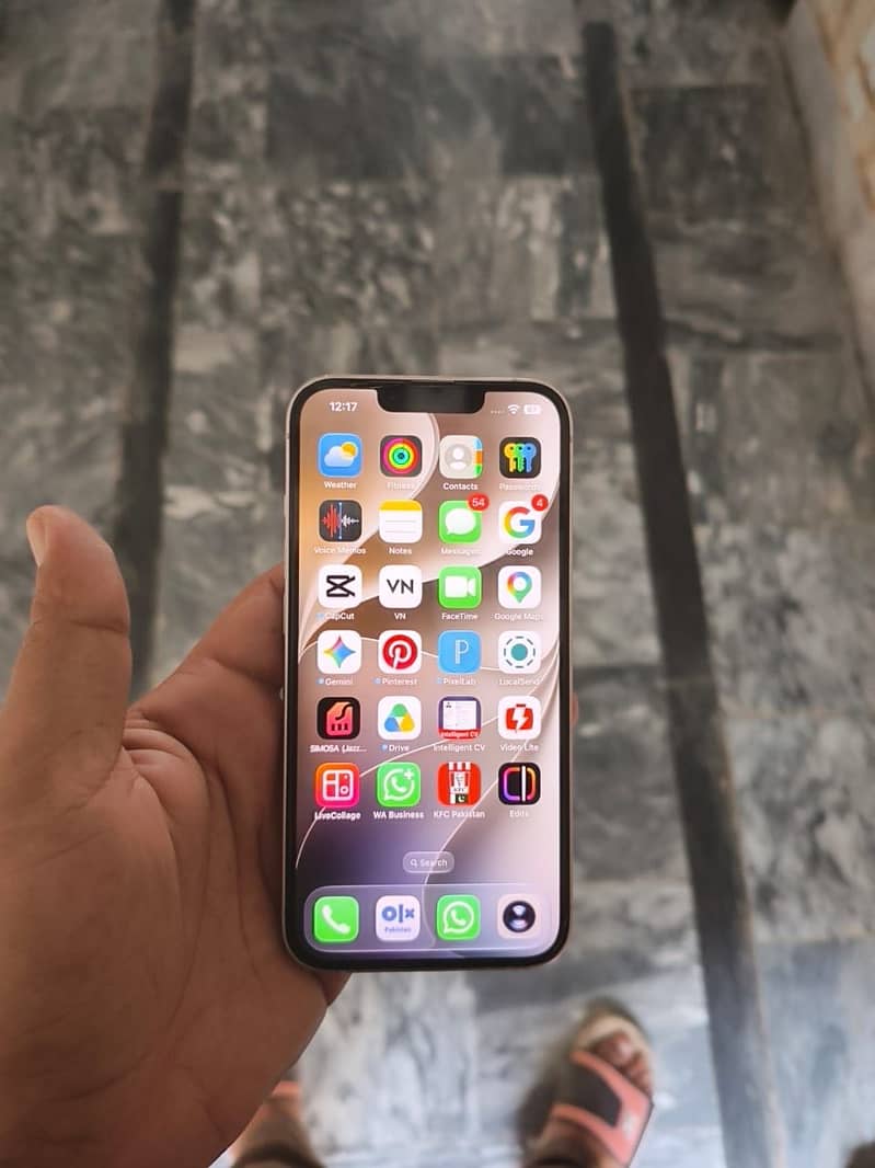 Apple iPhone 13 0