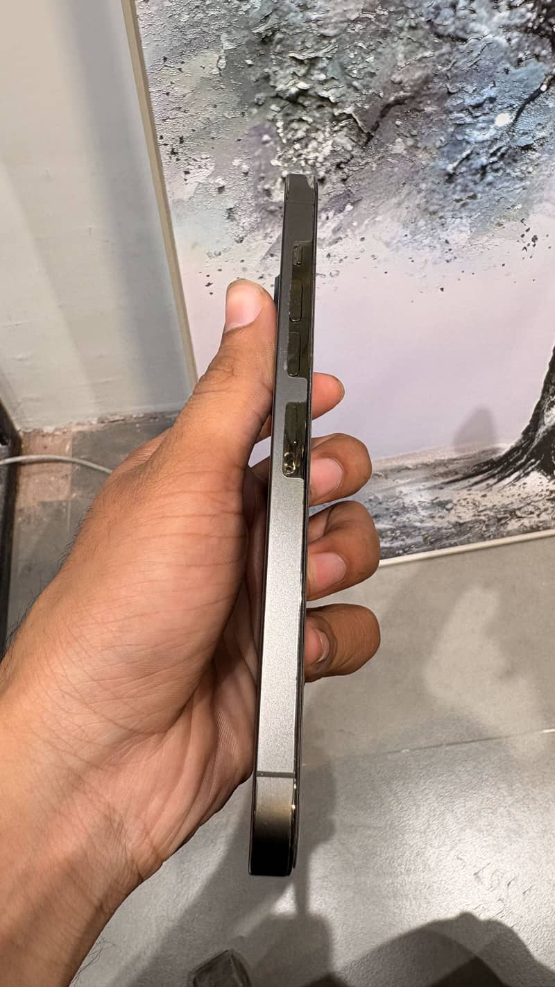 Apple iPhone 13 Pro Max 1