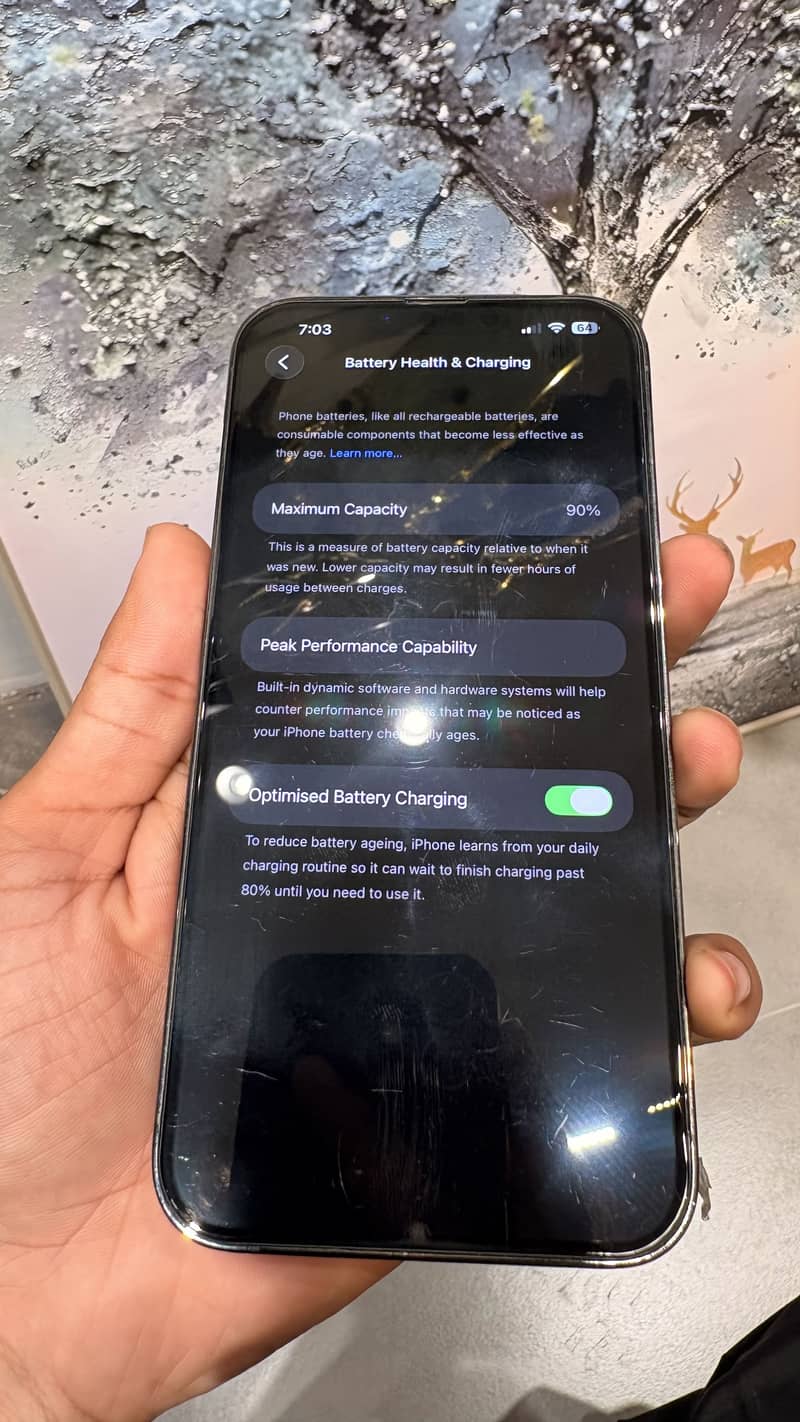 Apple iPhone 13 Pro Max 2