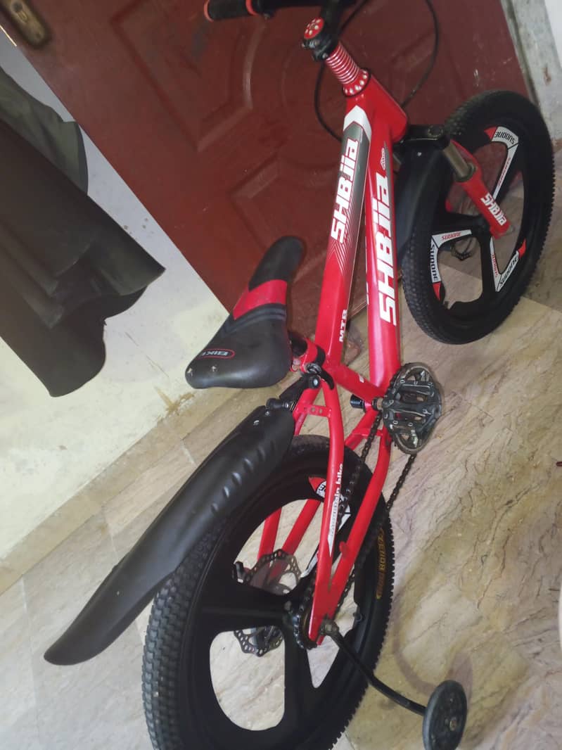 bycicle - imported 1