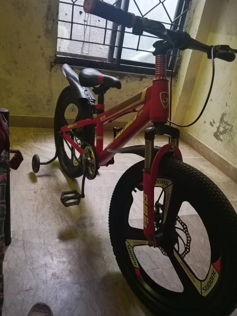 bycicle - imported 2