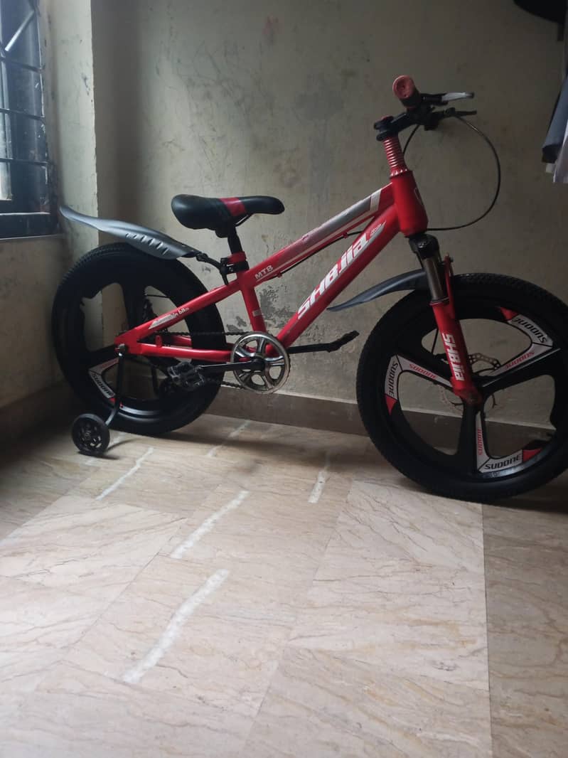 bycicle - imported 3