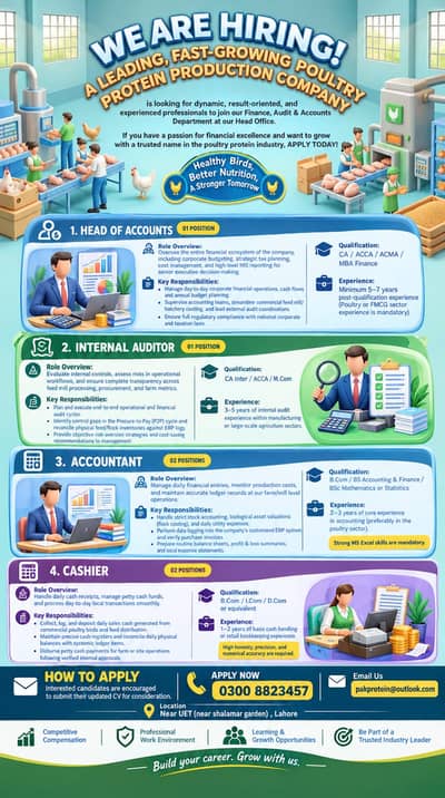 Accountant n cashiers
