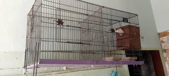 birds with Cage