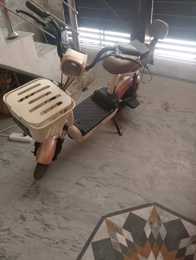 revoo electric Scotty for sale