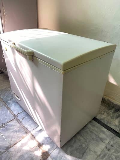 Deep Freezer (03248468747)