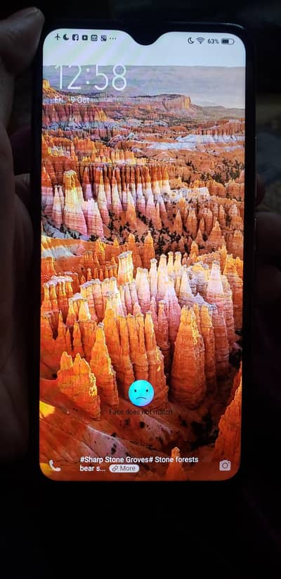 Vivo Y19