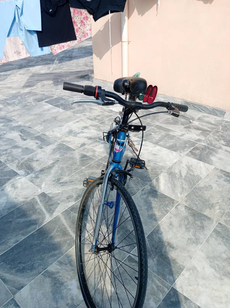 Cycle 3