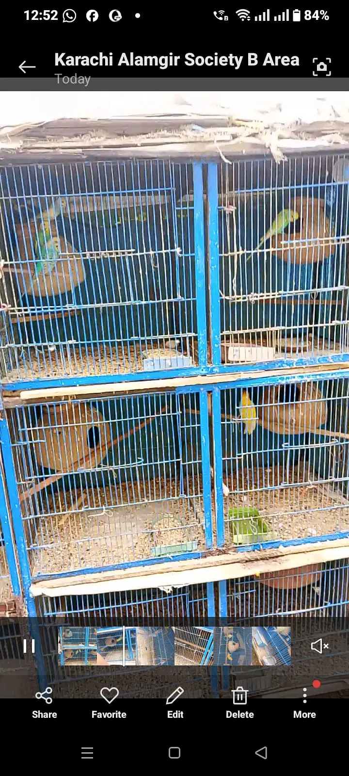 Cages Pinja For Sale — photo 5