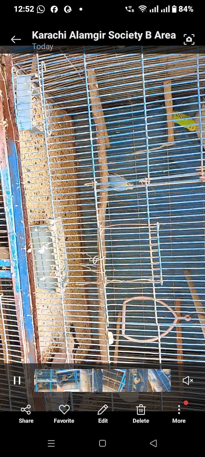 Cages Pinja For Sale — photo 6