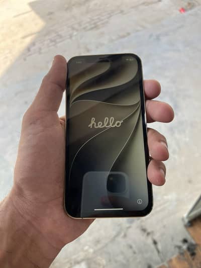 Apple iPhone 12 Pro