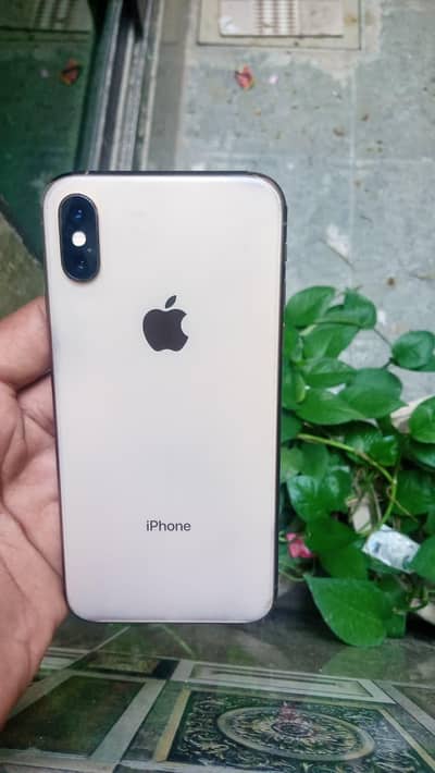 I phone xs