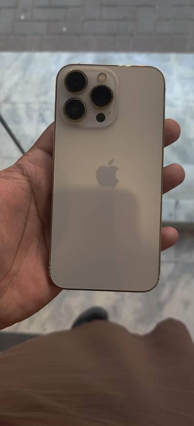 Apple iPhone 13 Pro