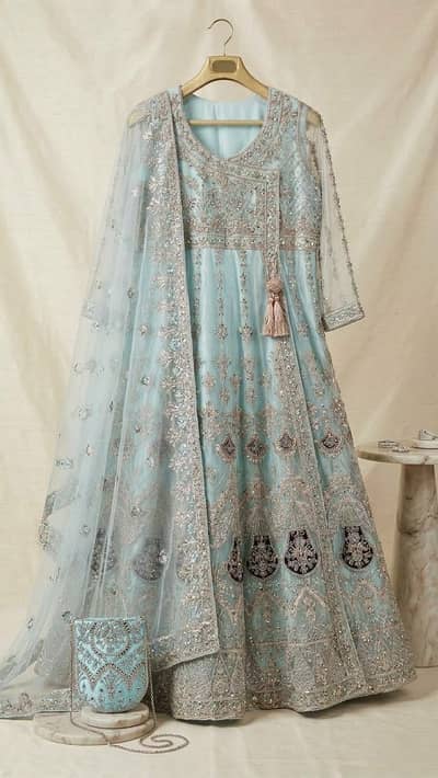beautiful light Blue embroidered