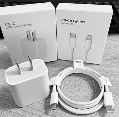 Apple iPhone Charger