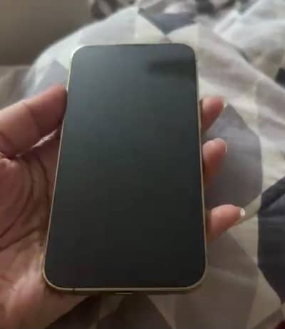 Apple iPhone 13 Pro