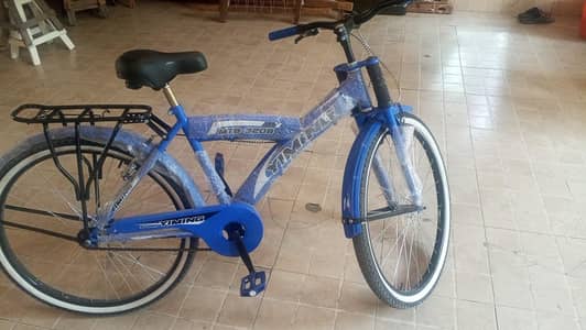 Bicycle for Kids