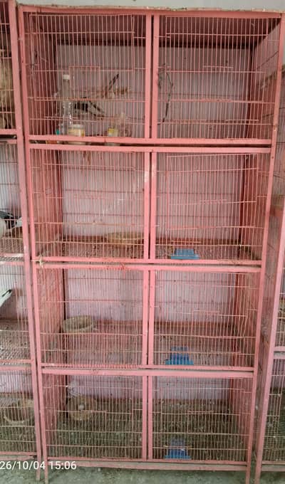 8 Portion cage All tray Available hain