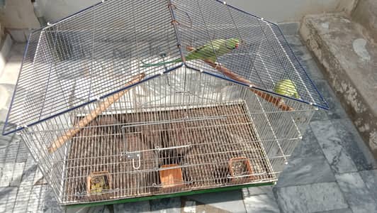 Parrot Cage , Hen Cage ,Cat Cage ,Dog Cage,