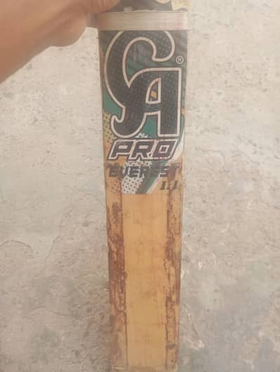 cricket bat leather ball