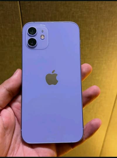 Apple iPhone 12
